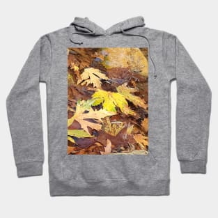 Fallen leaves floating in the river, 3, (Set of 3), fall, autumn, xmas, holiday, nature, forest, trees, winter, color, flowers, orange, art, botanical, leaves, leaf, floral, wet, rain, water, holidays, digital, spring, aqua, graphic-design, christmas Hoodie